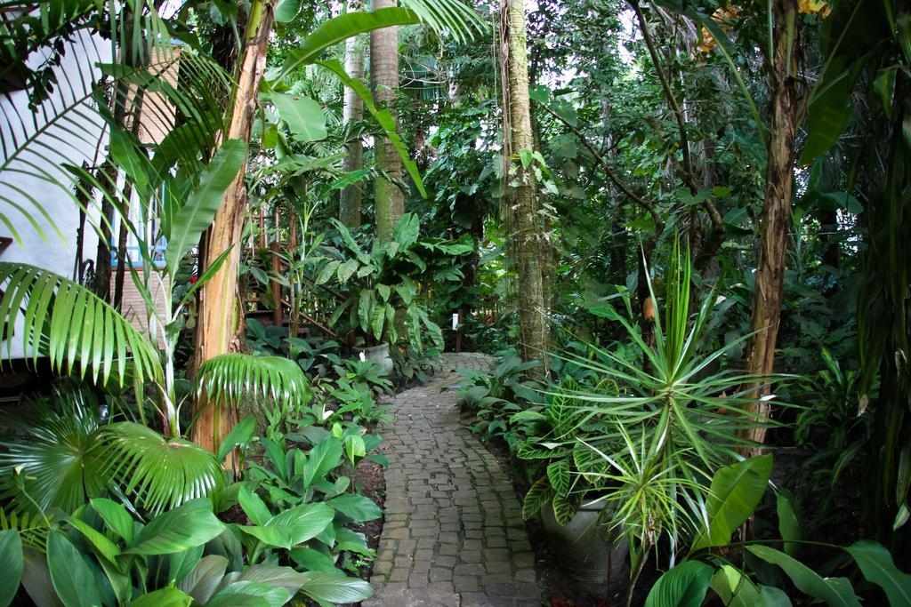 Pousada Burundanga Itacaré Exterior photo